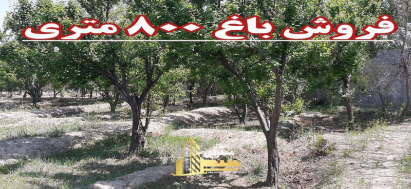 باغ 800 متری در شفیع آباد شهریار