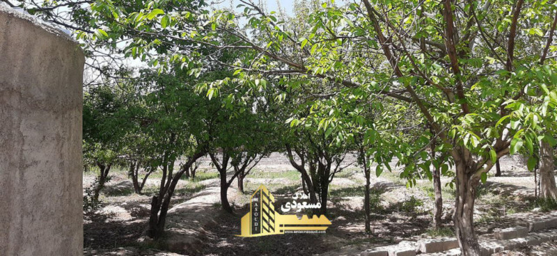 باغ 800 متری در شفیع آباد شهریار