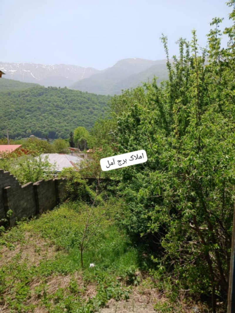زمین 185 متری در چلاو آمل