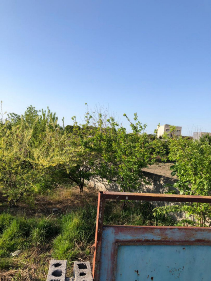 باغ 443 متری در آمل