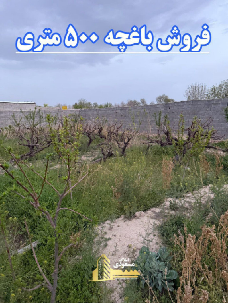 باغ 500 متری در شهریار