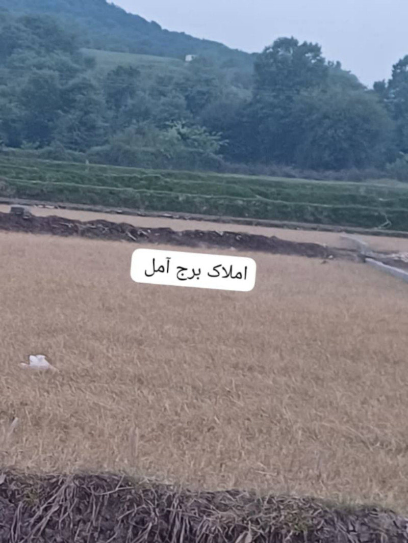 زمین 300 متری در آهنگر کلا آمل