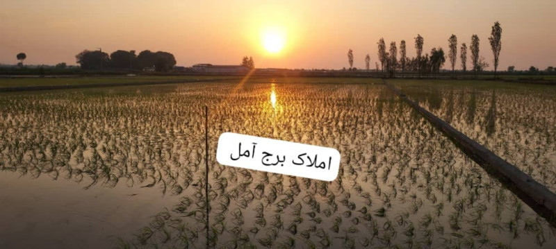 زمین 5000 متری در آمل