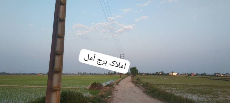 زمین 5000 متری در آمل