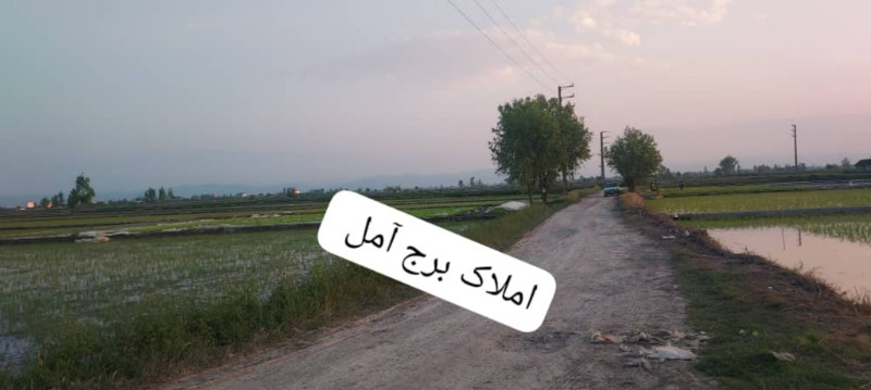 زمین 5000 متری در آمل