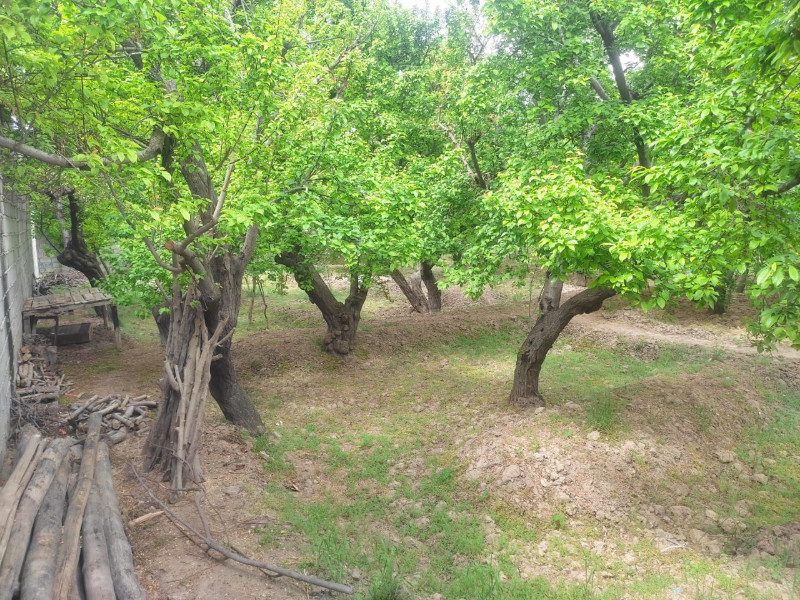 باغ 650 متری در فاز 1 اندیشه