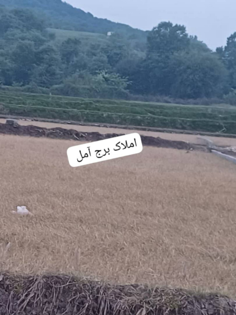 زمین 300 متری در آهنگر کلا آمل
