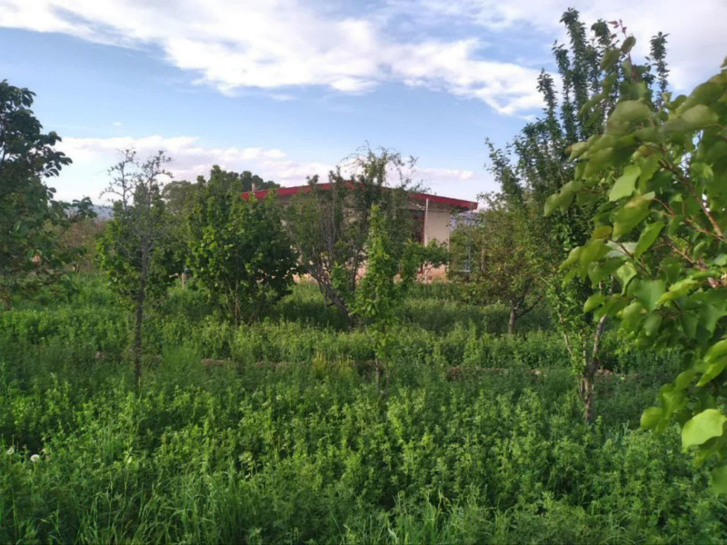 باغ 2000 متری در مرند