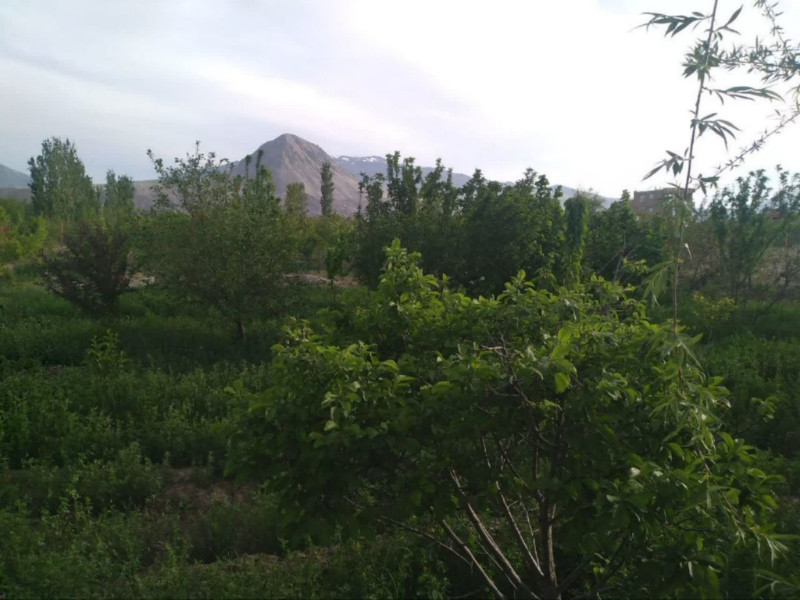 باغ 2000 متری در مرند