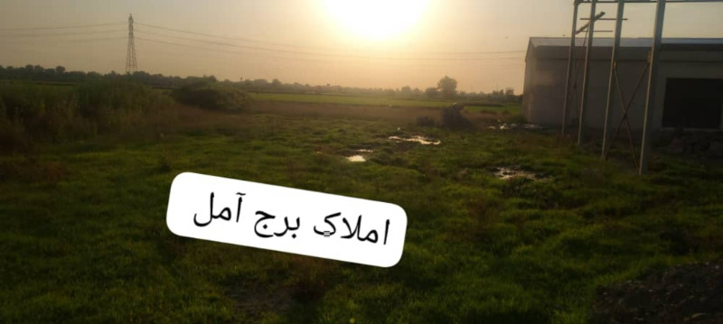 زمین 800 متری در دابودشت آمل