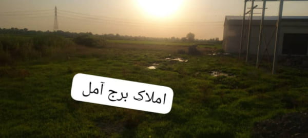 زمین 800 متری در دابودشت آمل