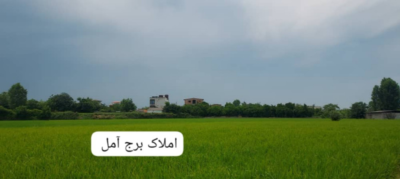 زمین 1000 متری در بلوار بسیج آمل