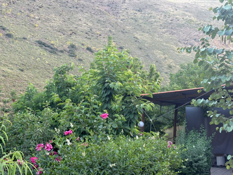 باغ 1350 متری در حسن آباد سنندج