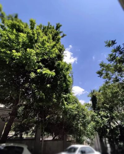 آپارتمان 175 متری سه خوابه در درکه تهران