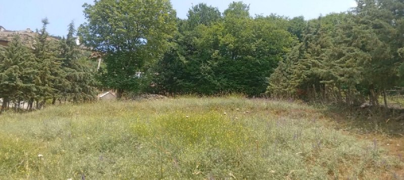 زمین 200 متری در کلاردشت13291416163