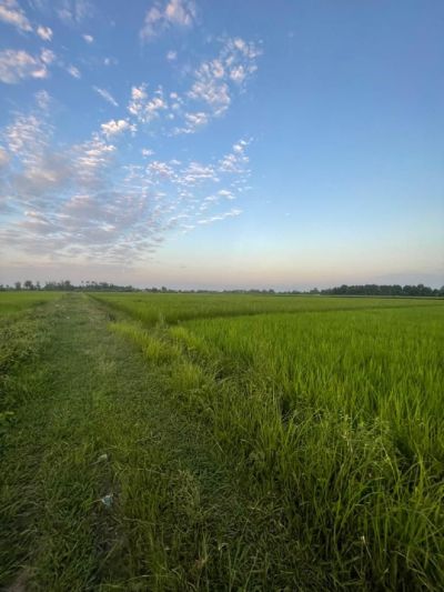 زمین 1800 متری در ماسال