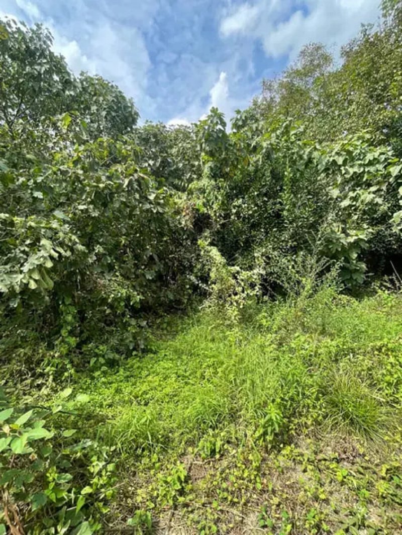 خانه 100 متری دو خوابه در ماسال13345217327