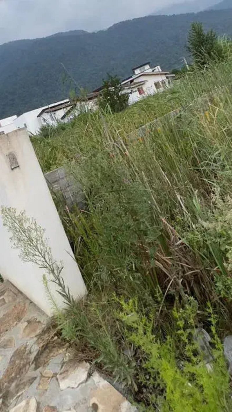 زمین 500 متری در سیسنگان نوشهر13343417243