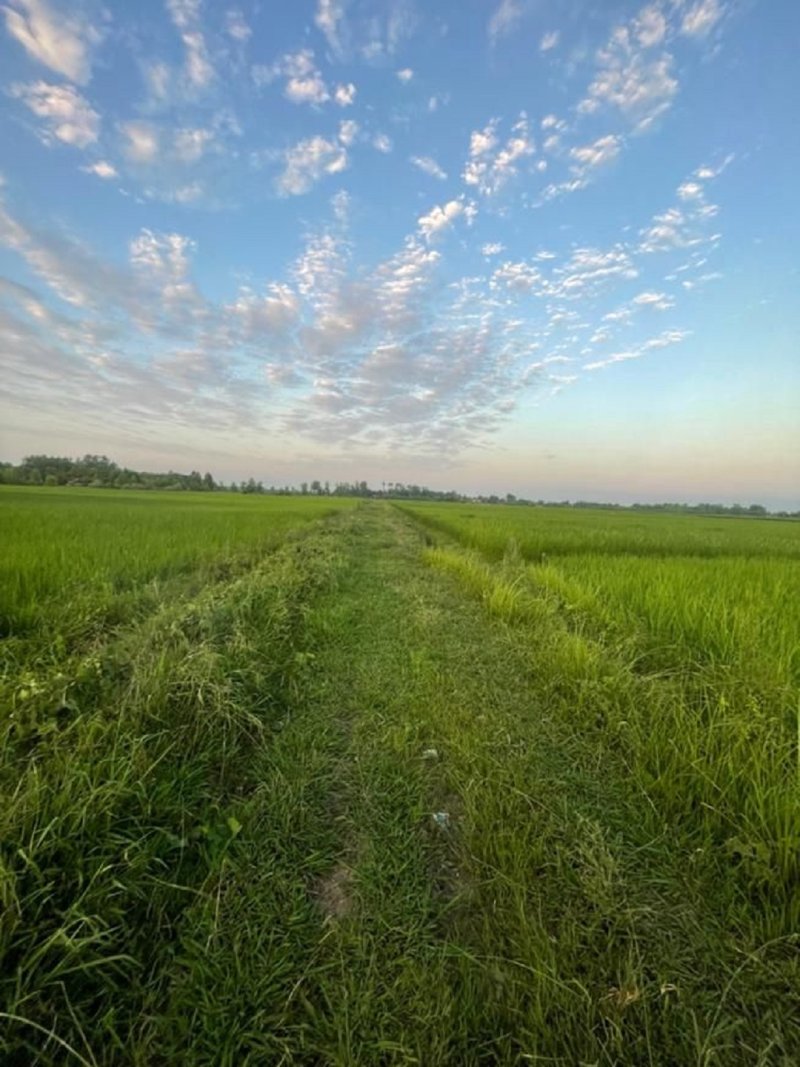 زمین 1800 متری در ماسال13344617296