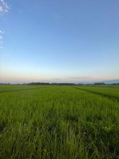 زمین 1800 متری در ماسال