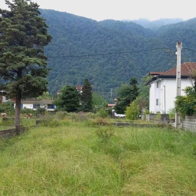 زمین 266 متری در سیسنگان نوشهر
