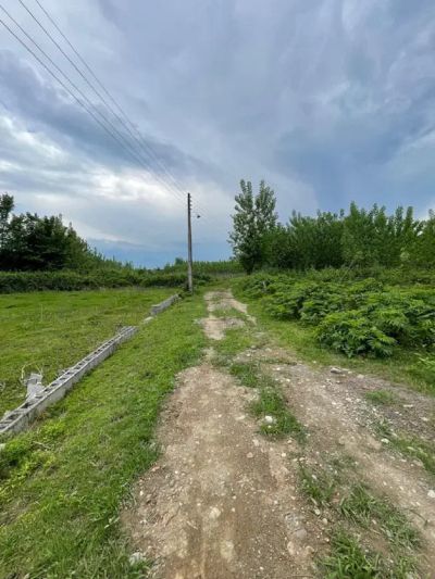 زمین 300 متری در ماسال