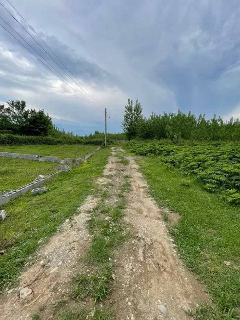 زمین 300 متری در ماسال13345017319