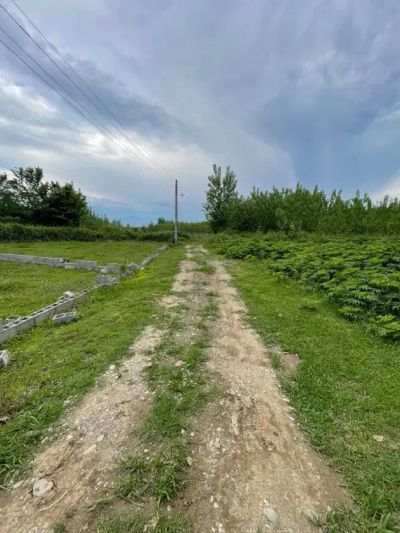 زمین 300 متری در ماسال