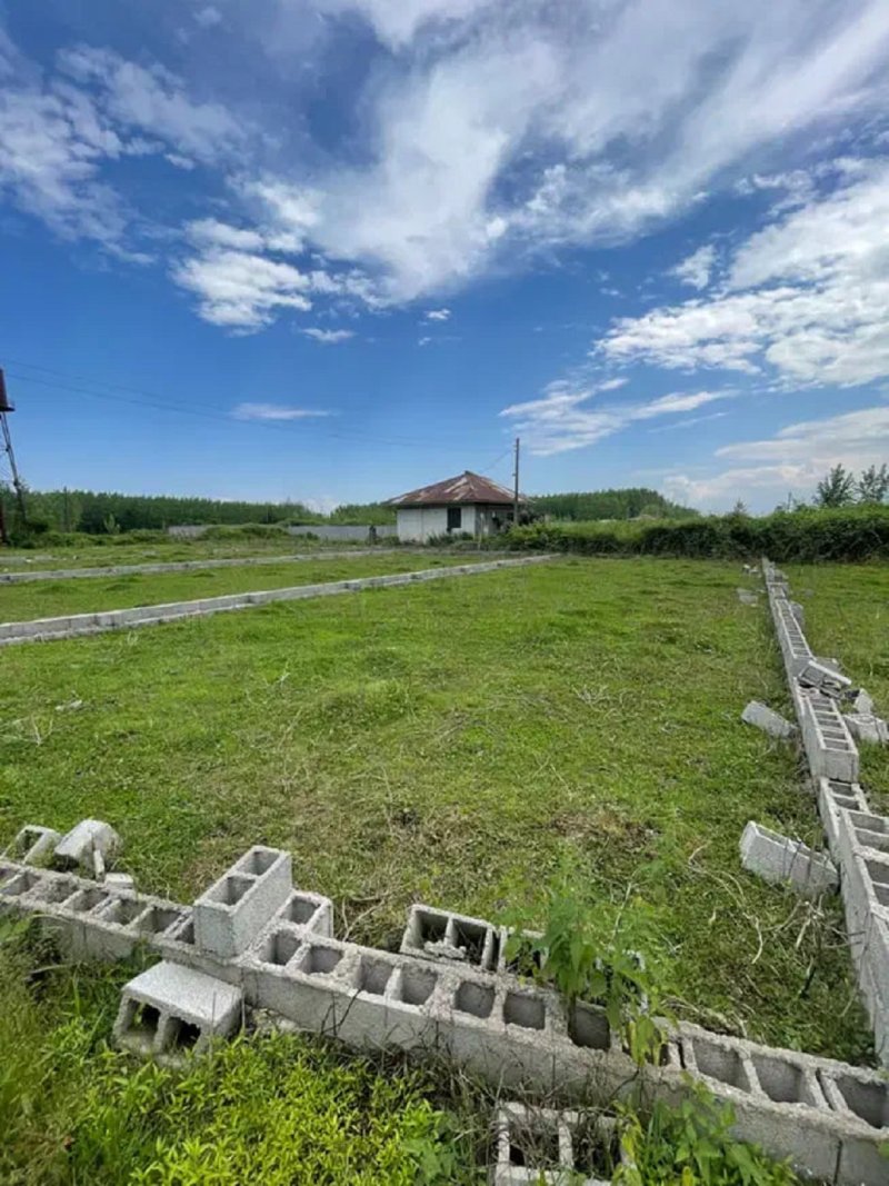 زمین 300 متری در ماسال13345017318