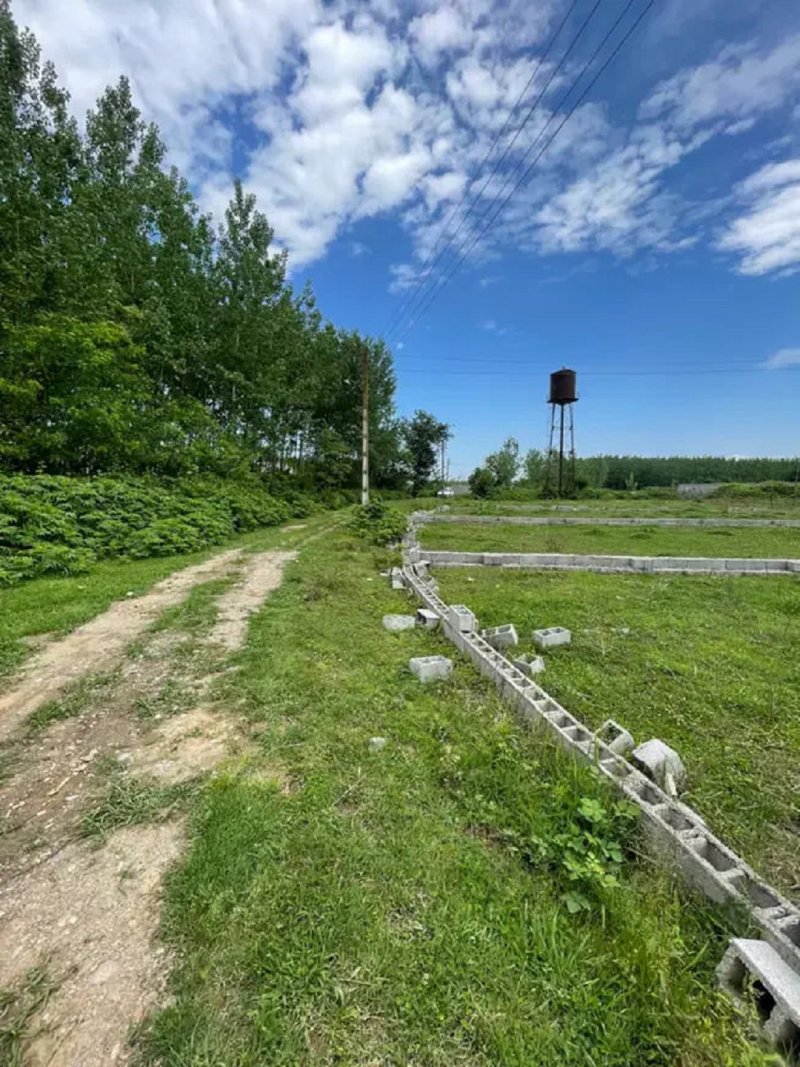 زمین 300 متری در ماسال13345017317