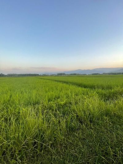 زمین 1800 متری در ماسال