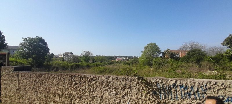 زمین 2100 متری در نوشهر13345517340