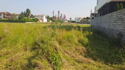 زمین 330 متری در روستای دزدک نوشهر