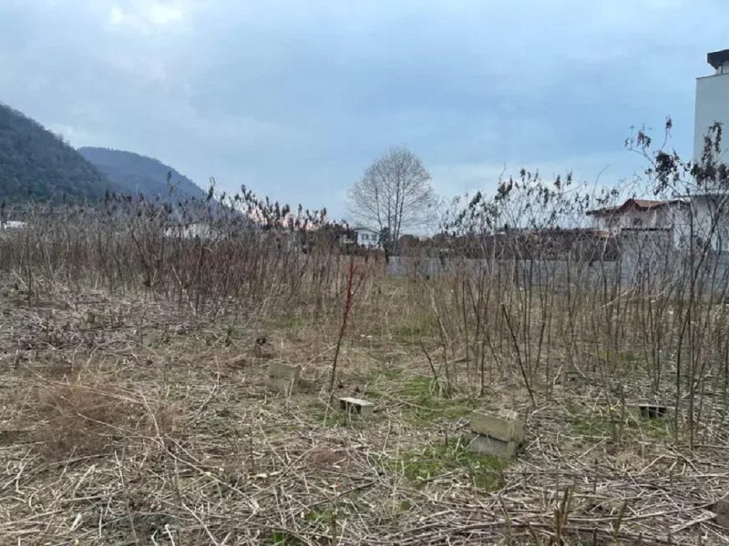 زمین 360 متری در مزگاه نوشهر13377218006