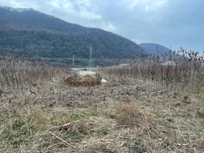 زمین 360 متری در مزگاه نوشهر