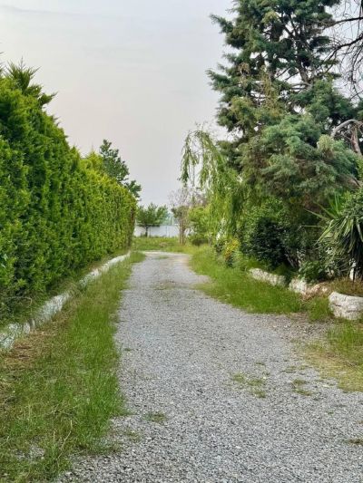 ویلا 230 متری سه خوابه در کلارآباد چالوس