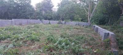 زمین 208 متری در درزیکلا نوشهر