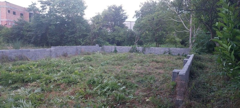 زمین 208 متری در درزیکلا نوشهر13426518732