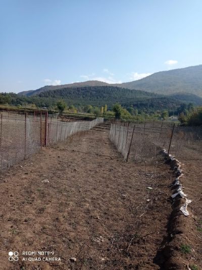 زمین 350 متری در کجور نوشهر