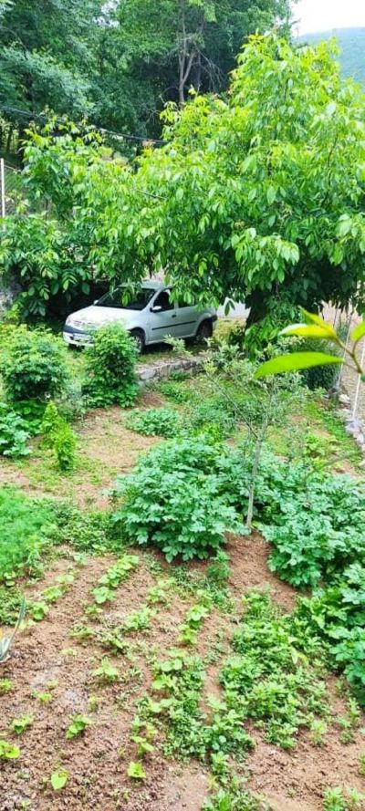 ویلا 132 متری دو خوابه در کندلوس نوشهر