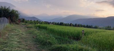 زمین 350 متری در کجور نوشهر