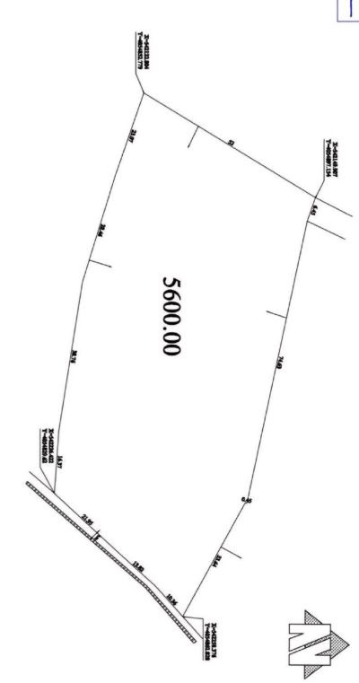زمین 5600 متری در نوشهر
