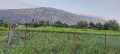زمین 350 متری در کجور نوشهر