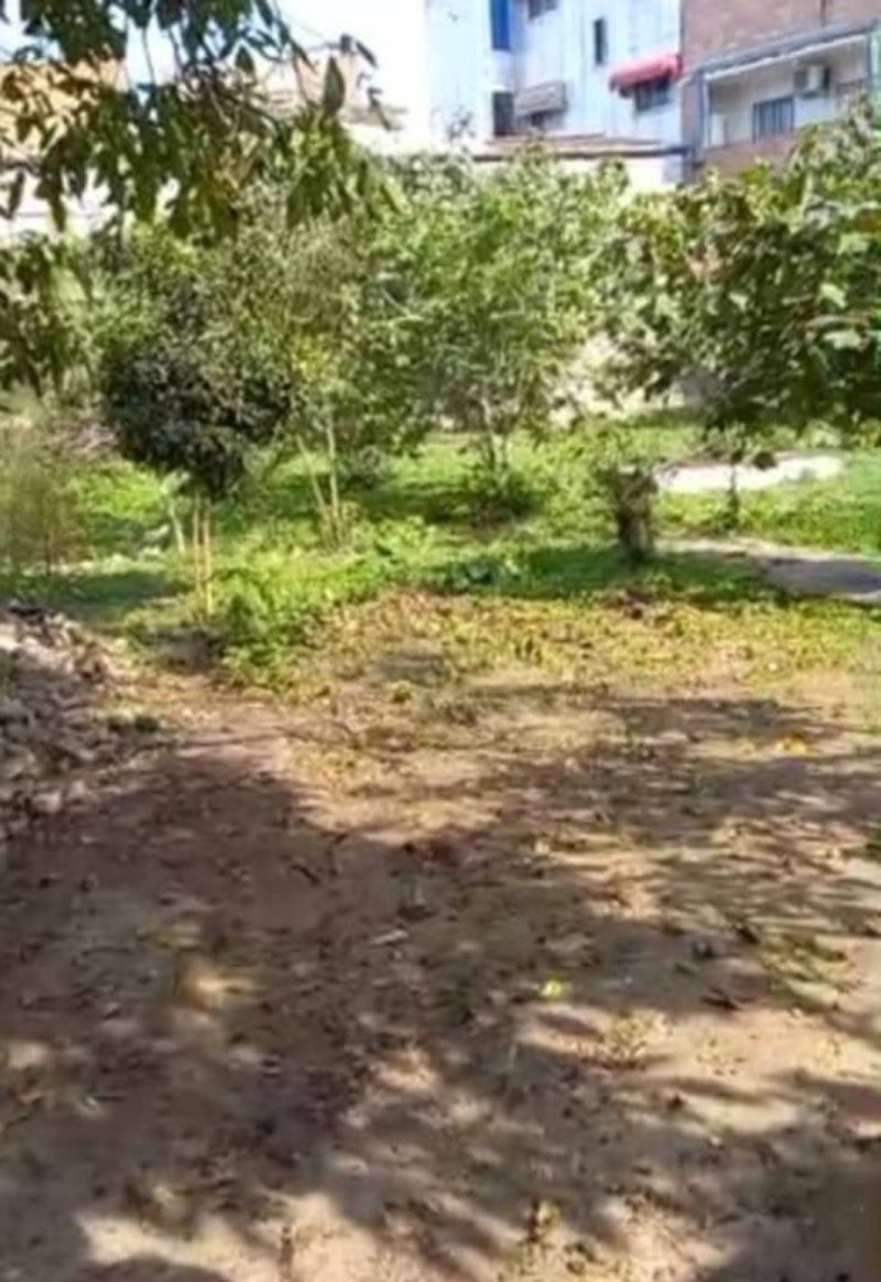 زمین 700 متری در خیابان تهران قائم شهر13453419306