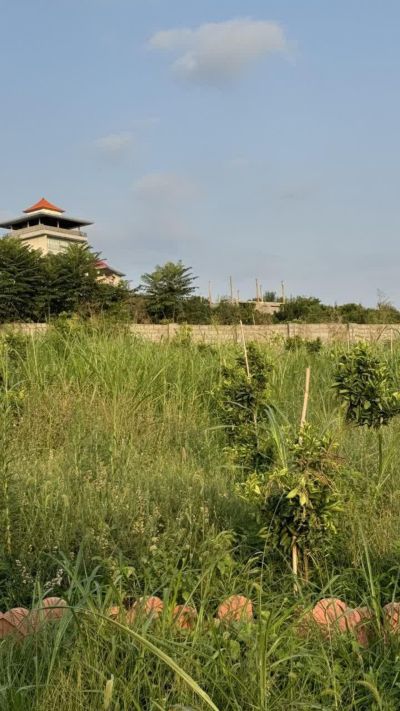 زمین 500 متری در بابلکنار بابل