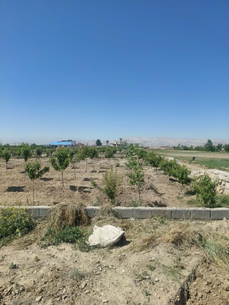 زمین 1200 متری در گلبهار13456119357