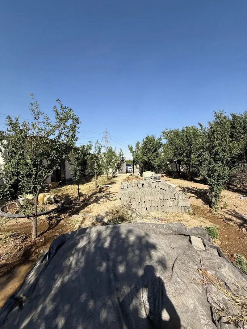 باغ 500 متری یک خوابه در یافت آباد تهران13525320471