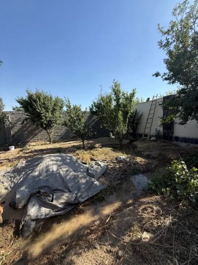 باغ 500 متری یک خوابه در یافت آباد تهران