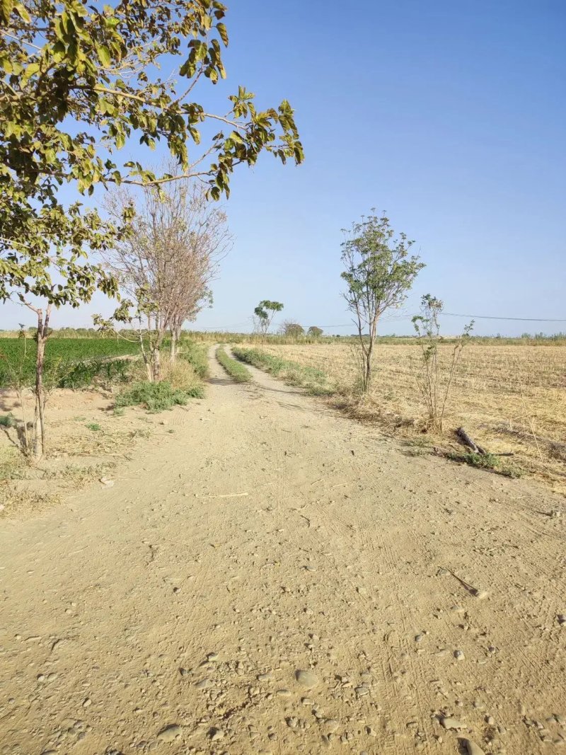 زمین 300 متری در ورامین تهران13535620725