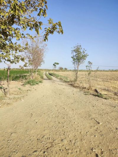 زمین 300 متری در ورامین تهران